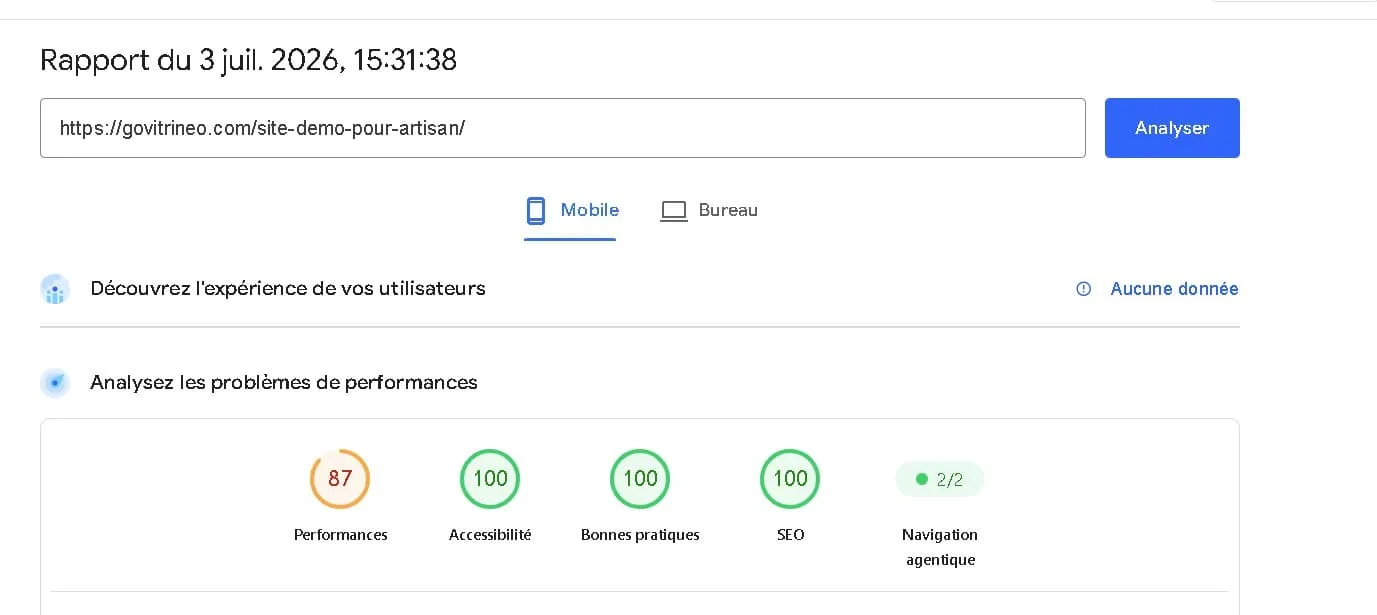 Rapport Google PageSpeed Insights du site Portail démos — Artisans
