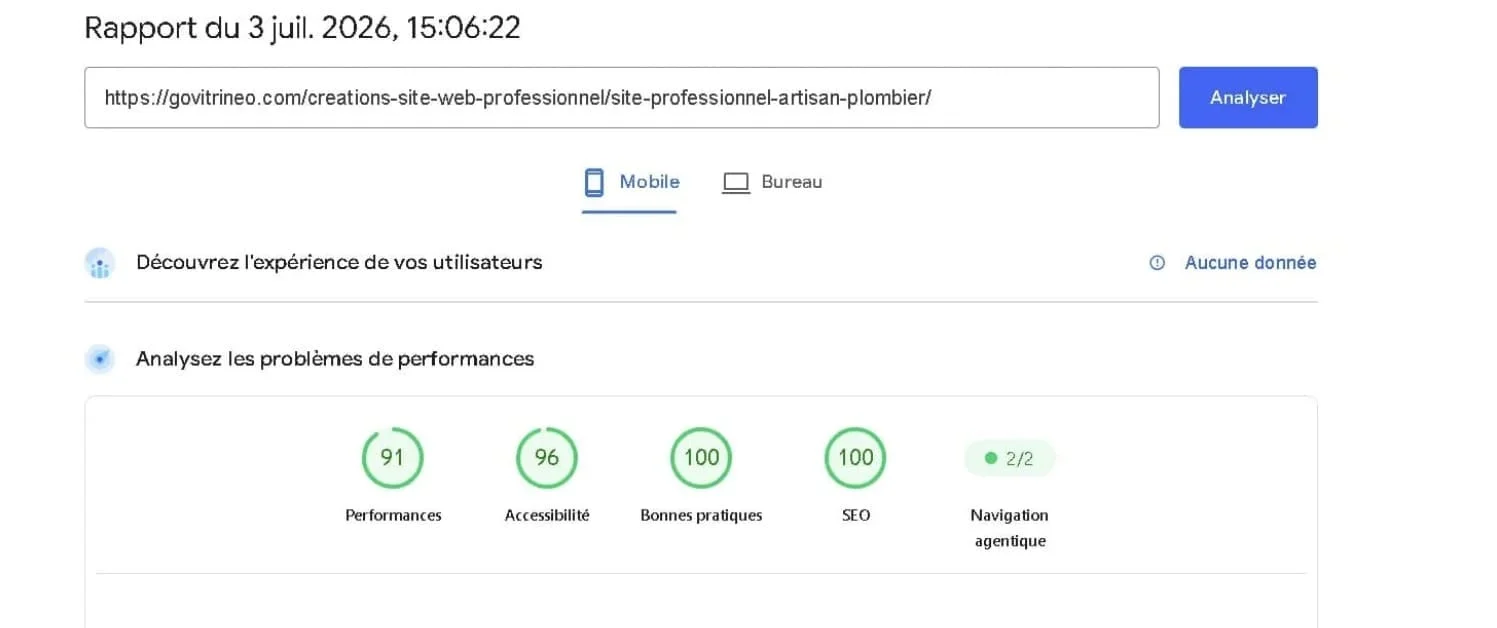 Résultat Google PageSpeed Insights — Artisan plombier