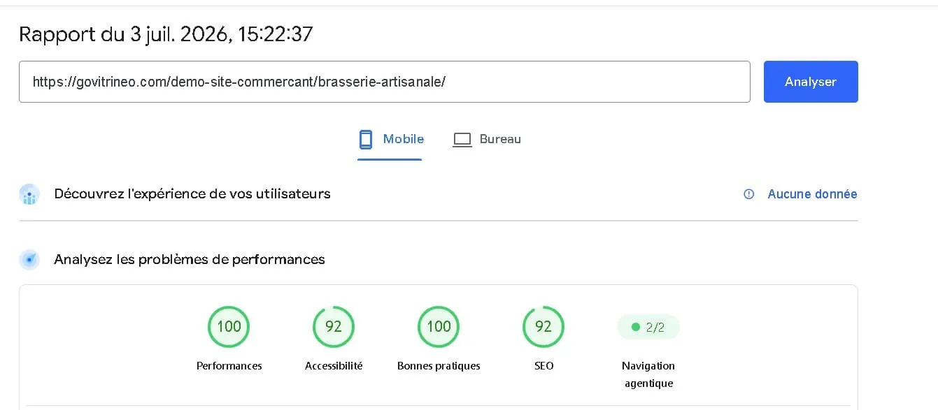 Résultat Google PageSpeed Insights — Brasserie