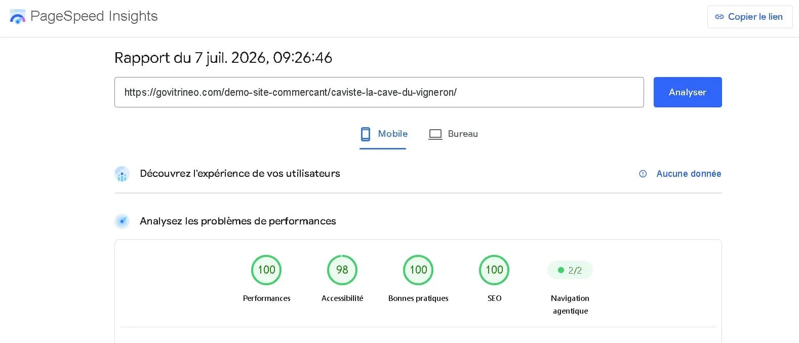 Résultat Google PageSpeed Insights — Caviste La Cave du Vigneron