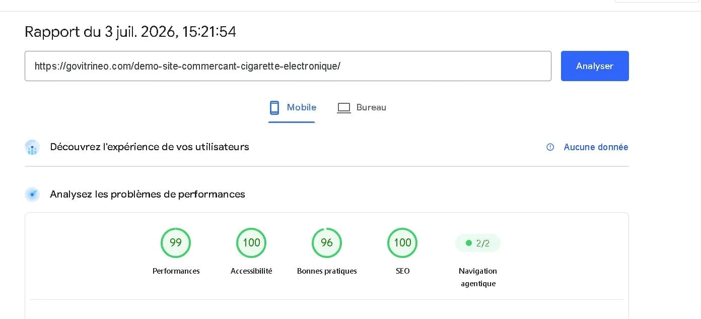 Résultat Google PageSpeed Insights — Cigarette électronique