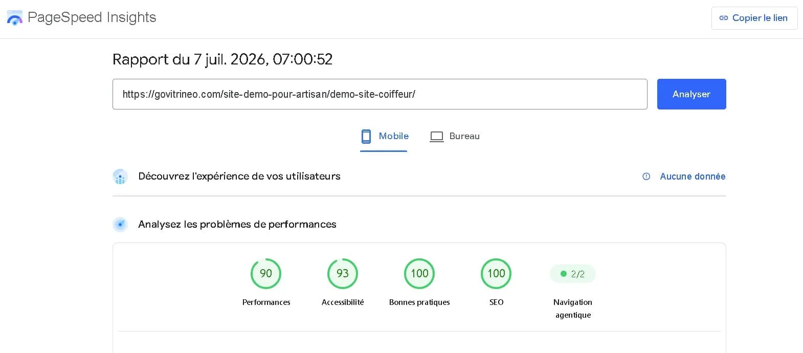 Résultat Google PageSpeed Insights — Coiffeur