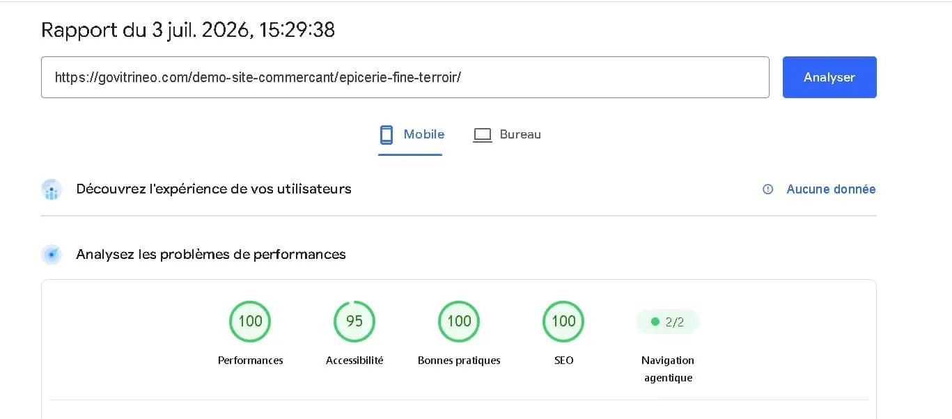 Résultat Google PageSpeed Insights — Épicerie