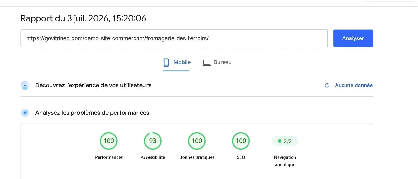 Résultat Google PageSpeed Insights — Fromagerie