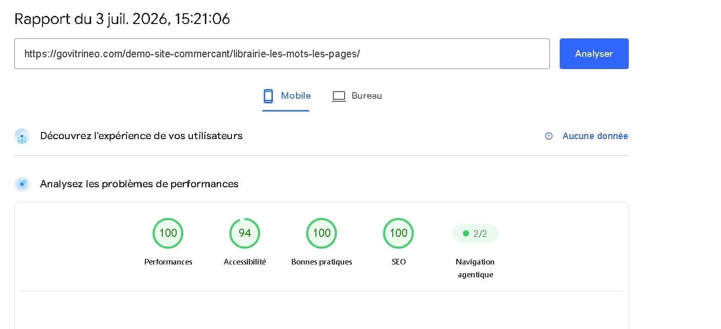 Résultat Google PageSpeed Insights — Librairie