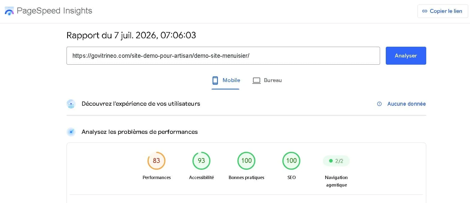 Résultat Google PageSpeed Insights — Menuisier