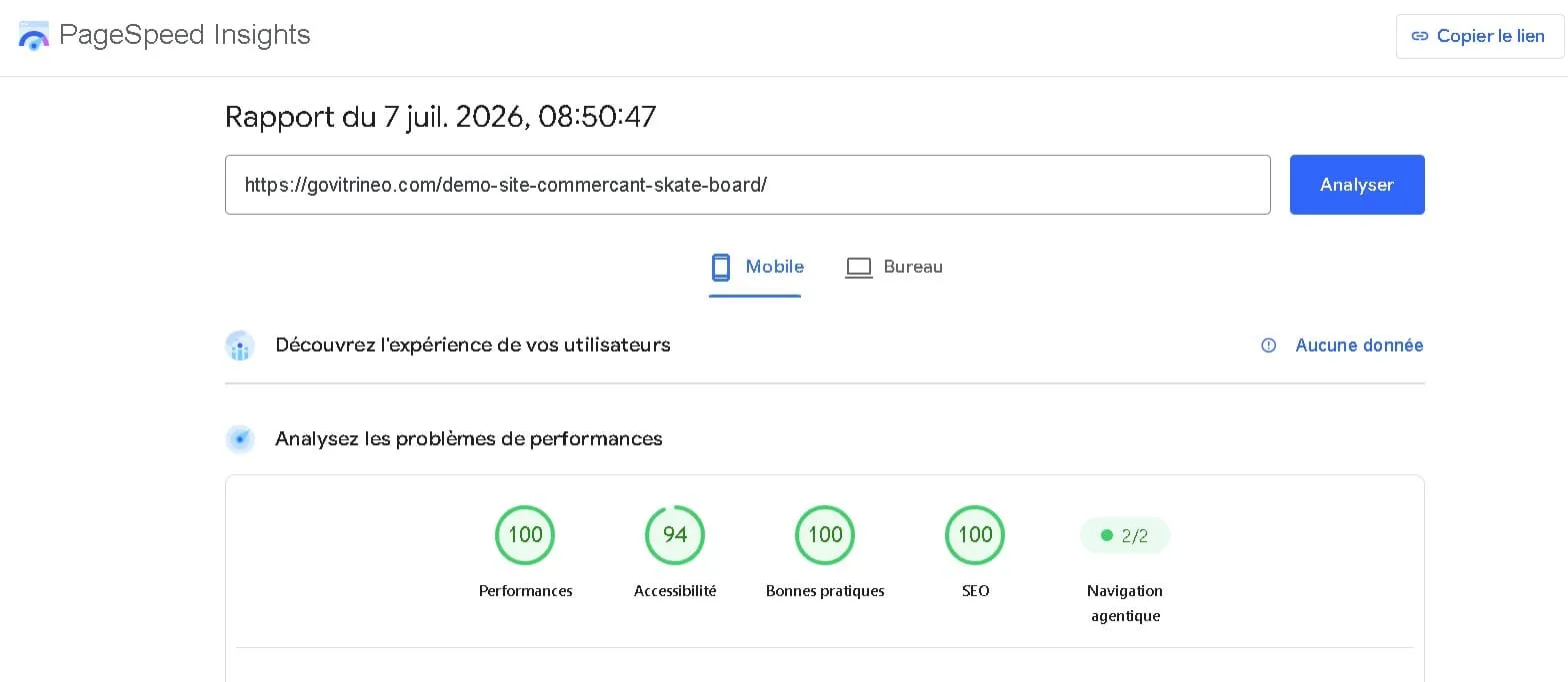 Résultat Google PageSpeed Insights — Skateboard