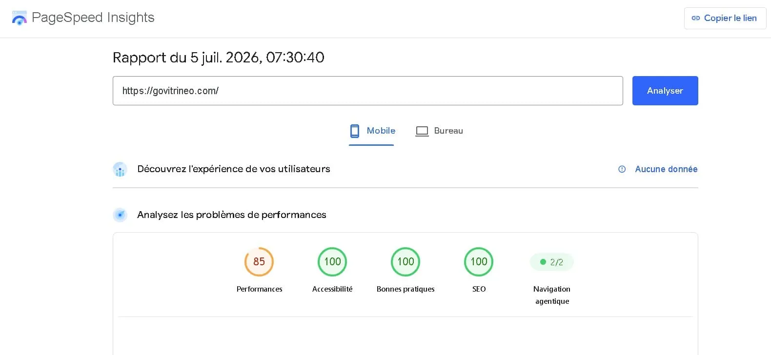 Rapport Google PageSpeed Insights du site GoVitrineo — Accueil