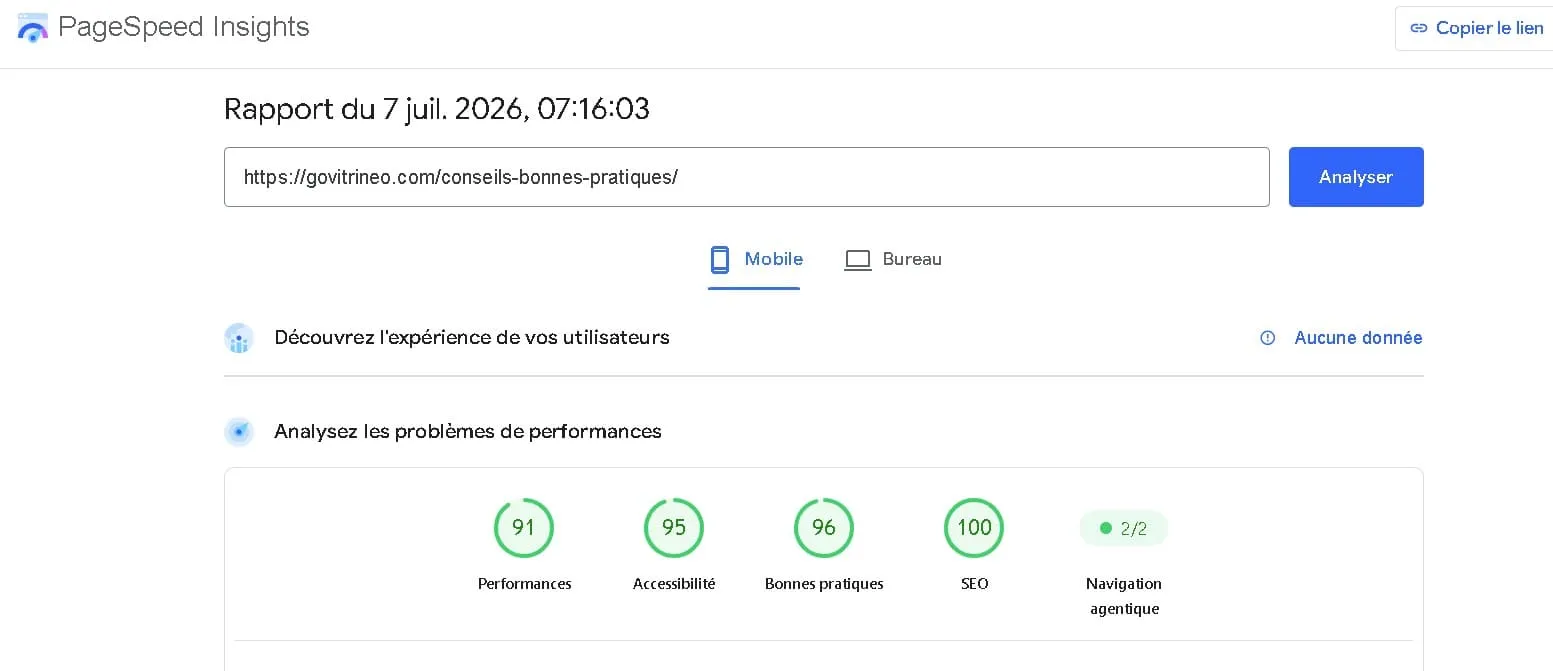 Rapport Google PageSpeed Insights du site GoVitrineo — Conseils